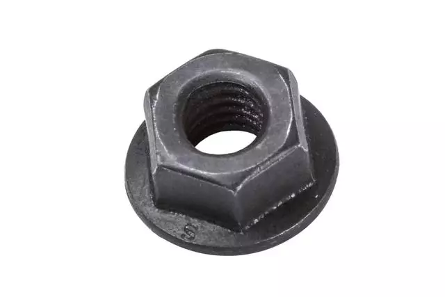 19404882 - : F (S)Nut for GM Image
