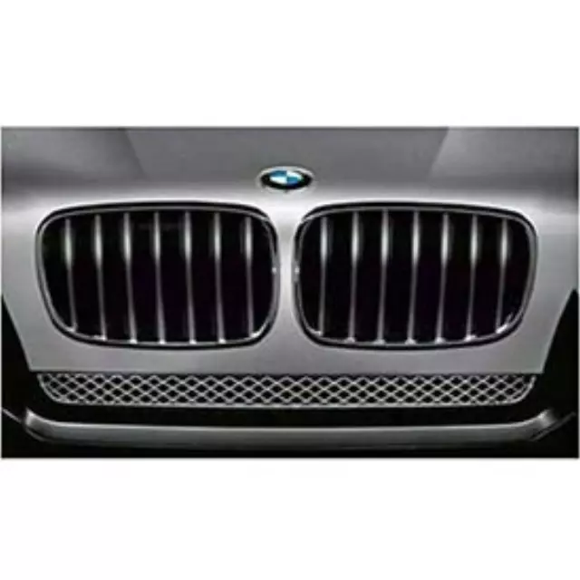 E70 X5, X71 X6 M Performance Black Kidney Grille - Right - BMW (51-71-2-150-246)