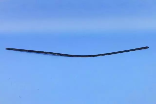 68224368AE - Doors, Door Mirrors and Related Parts: Day Light Opening Molding, Right for Mopar Image