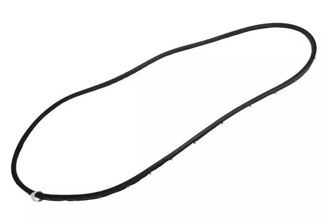 84136387 - Body: Door Weather-strip for GM Image