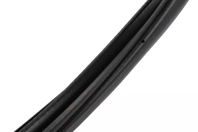 Weather-Strip On Body - GM (42708692)