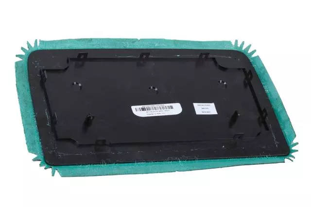 Jet Black Rear Seat Entertainment Video Display Pivot Cover - GM (90921201)