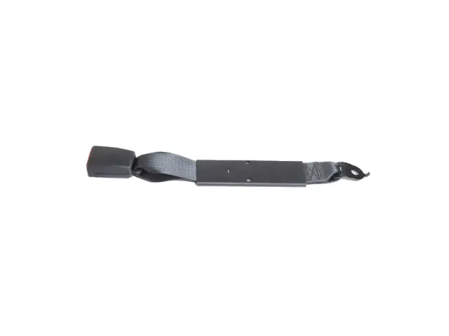 6TB101X7AA - Restraints: Buckle Assy-s/belt Buckle Assy for Mopar Image