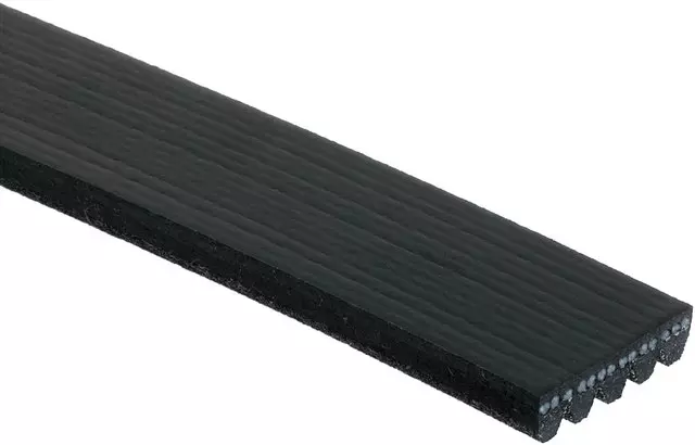 Belt - GM (88920971)