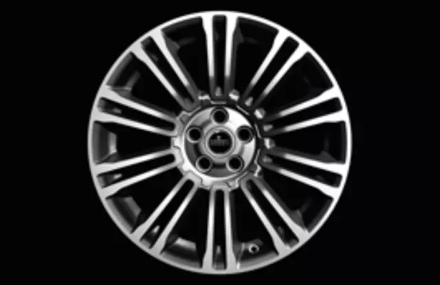 Wheel Center Cap - Satin Silver Finish - Land-Rover (LR094546)