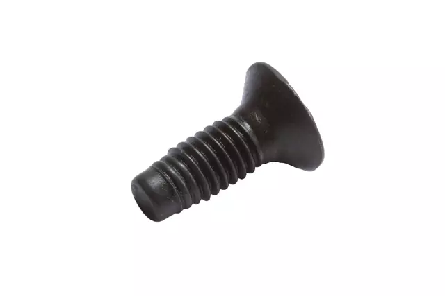 Bolt - GM (11518579)
