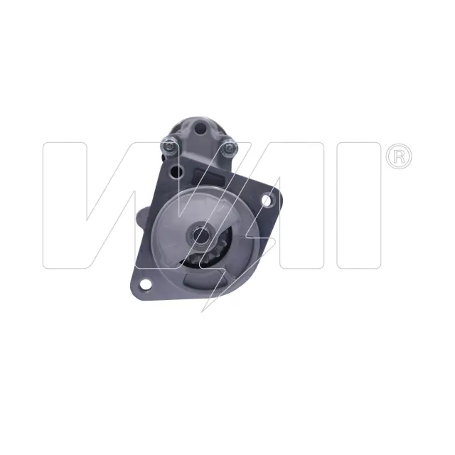 19279N - : WAI Starter for WAI Image