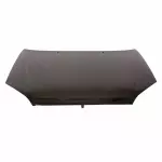 4S4Z16612AB - Body: Hood for Ford: Focus Image