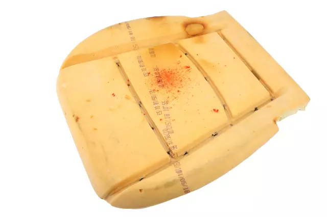 Driver Seat Cushion Pad - GM (22928319)