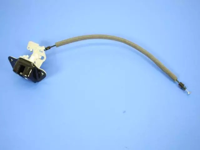 Lift-Gate Latch - Mopar (4589181ag)