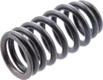 132036KA0A - Engine: Valve Springs for Nissan Image