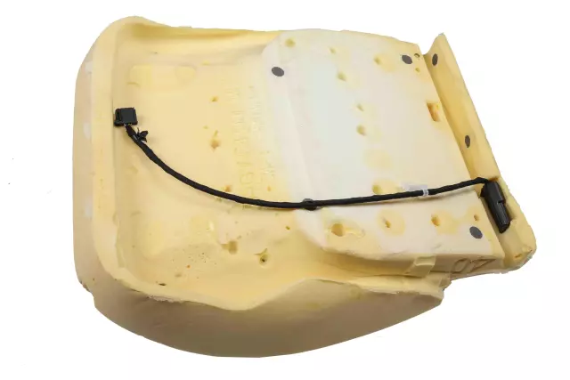 Airbag Front Passenger Presence Module - GM (22968437)