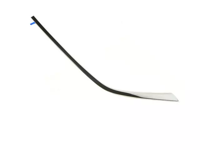 57010408AM - : Day Light Opening Molding, Right for Mopar Image