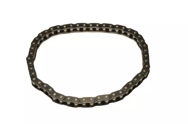 10114177 - : Timing Chain for GM Image