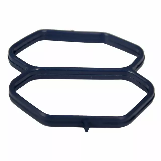 Fuel Injection Idle Air Control Valve Gasket - Ford (1S7Z-9F670-AA)