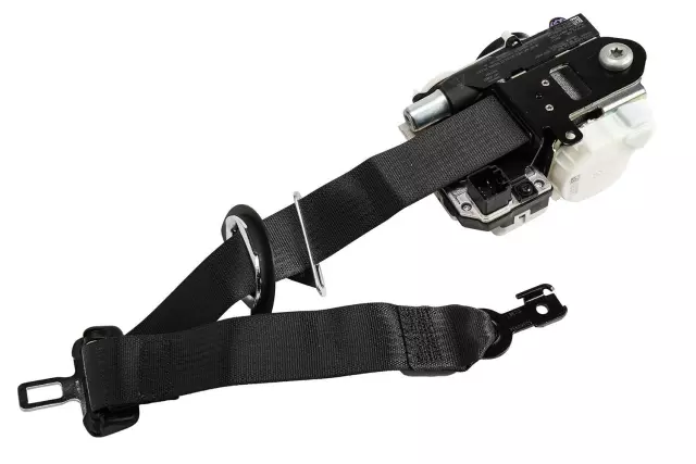 84493987 - Electrical: Outer Belt Assembly for Cadillac: Escalade, Escalade ESV | Chevrolet: Tahoe | GMC: Yukon Image