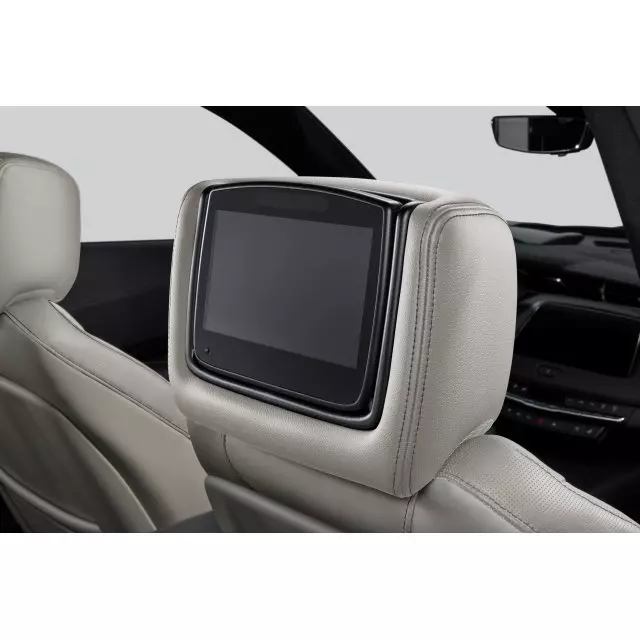 Headrest and Video Screen Assembly - GM (84339938)