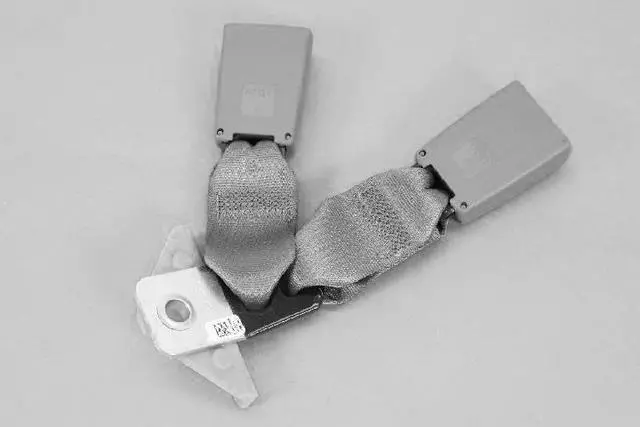 1CA87DX9AA - Electrical: Buckle End for Chrysler: Town &amp; Country | Dodge: Grand Caravan | Ram: C/V Image