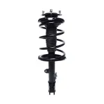 815925 - : PRT 815925 Suspension Strut and Coil Spring Assembly for PRT PERFORMANCE RIDE Image