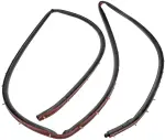 7505206 - : Cab Door Weather Strip for Dorman Image