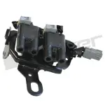 9201095 - : ThunderSpark 920-1095 Ignition Coil for ThunderSpark Image