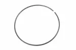 24042813 - : F (S)Ring for GM Image