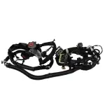 PL3Z14405BV - : Wiring Assembly Rear Lamps for Ford Image