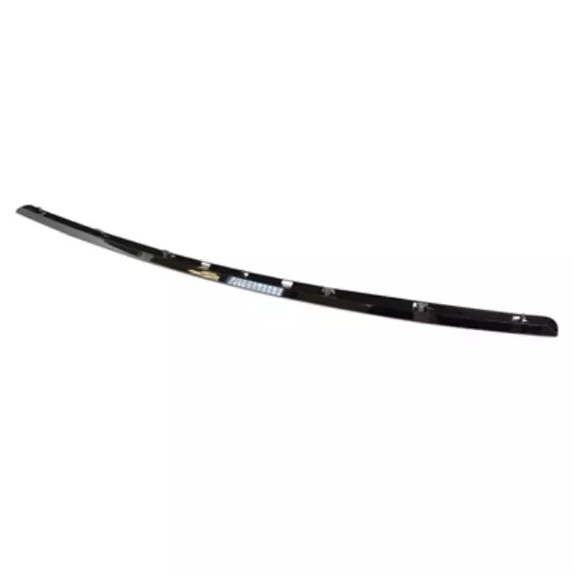 2006-2010 Ford Molding - Ford (6L2Z-16856-AA)