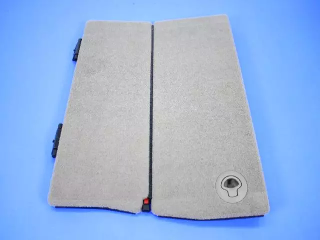 1MF37DK5AB - Body: Door for Chrysler: Town &amp; Country | Dodge: Grand Caravan Image