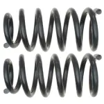 81095 - : Coil Spring Set for Moog Image