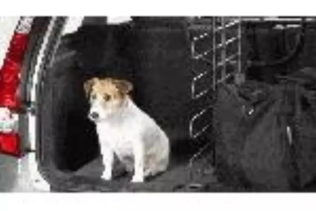 30740063 - Interior: 2005-2011 Volvo Cargo Compartment Separator for Volvo: S40, V50 Image