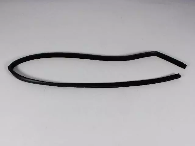 55135253AB - Body: Run Channel for Dodge: Ram 1500, Ram 2500, Ram 3500 Image