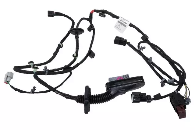 13462891 - Body: Wire Harness for Buick: Regal Image
