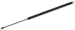 610013 - : Trunk Lid Lift Support for Tuff Support Image