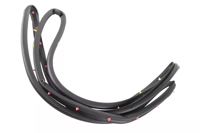 Door Weather-Strip - GM (84228138)