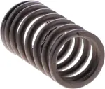 132115NA1C - : Valve Springs for INFINITI: QX50, QX55 Image