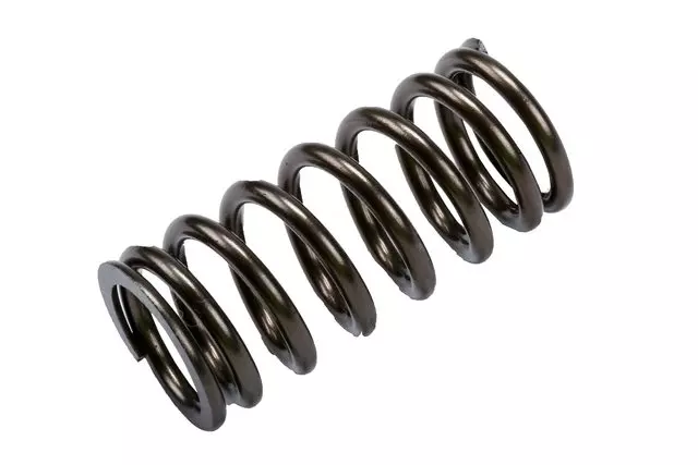 19205553 - : Engine Valve Spring for Pontiac: Vibe Image