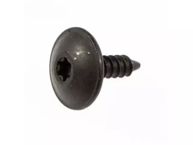 Spoiler Screw - Ford (W714956-S303)