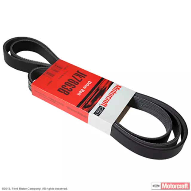 Serpentine Belt - Ford (F1VY-8620-C)