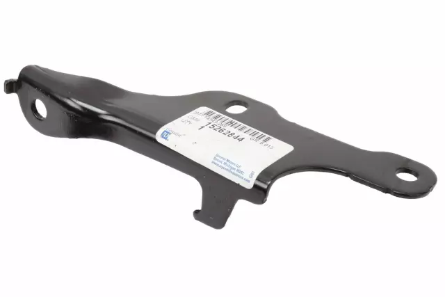 15262844 - Body: Hinge for Chevrolet: Cobalt | Pontiac: G5 Image