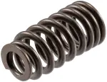 VS1615 - : Stock Replacement Valve Spring for Melling Image