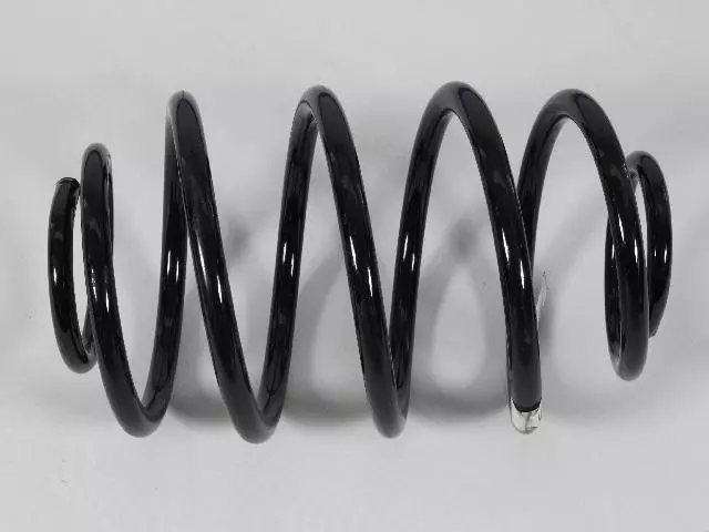 Rear Coil Spring - Mopar (52089104)