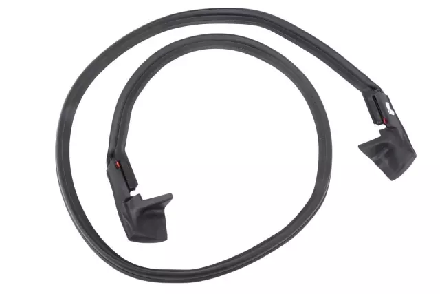 84006190 - Body: Weatherstrip for GM Image