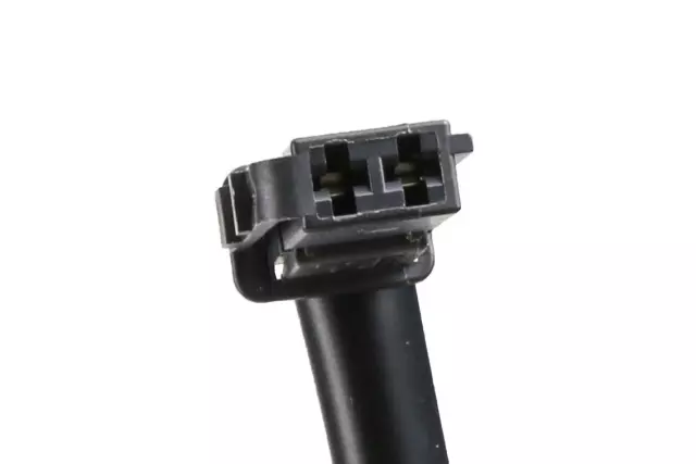 Deck Lid Center Applique with License Plate Lamp - GM (95380838)