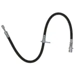 19174819 - : Hose for GM Image