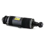 SK2414 - : Arnott Suspension Strut for Arnott Image