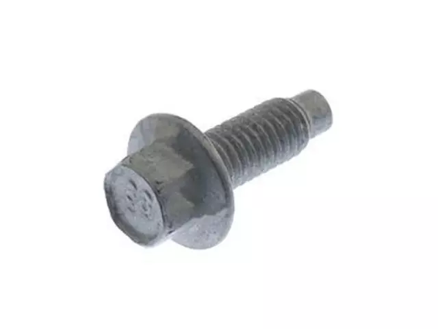 2011-2021 Ford Mount Bracket Screw - Ford (W500212-S437)