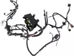240129HT0B - : Harness Assembly-Engine Room for Nissan Image