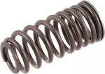 132113RC4C - Engine: Valve Springs for Nissan Image