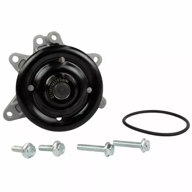 Pump Assembly Water - Ford (QPW-33)